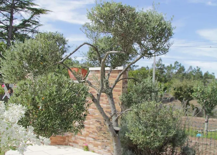 O Cantinho Da Rosa * Casal Lourenço