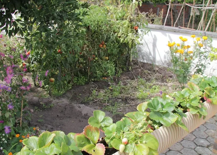 Holiday home O Cantinho Da Rosa *